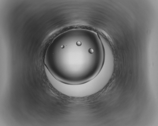 X0000111591112200907301420