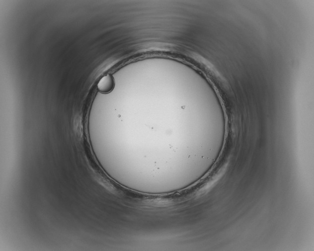 X0000111591113200907301420