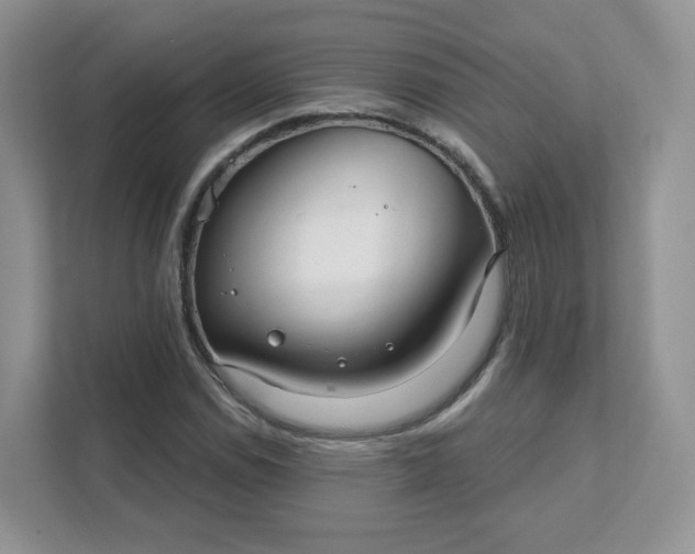 X0000111591114200907301420