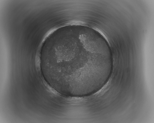 X0000111591115200907301420