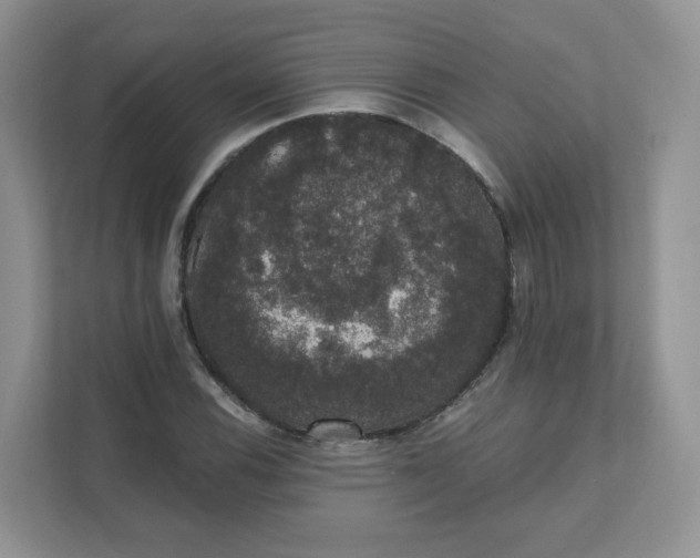 X0000111591116200907301420