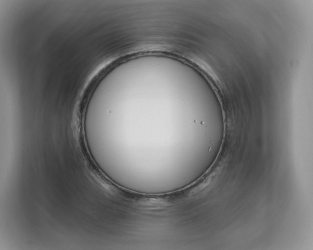 X0000111591119200907301420