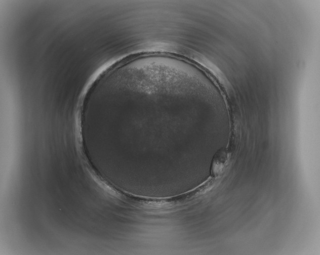 X0000111591120200907301420