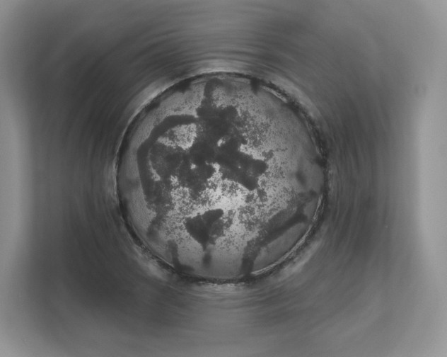 X0000111591121200907301420