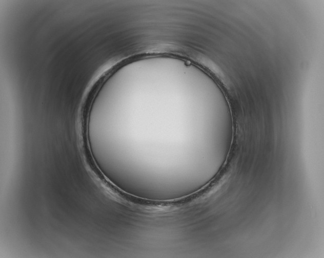 X0000111591122200907301420