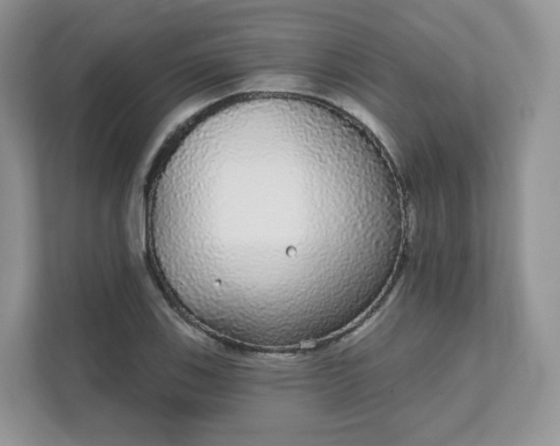 X0000111591123200907301420