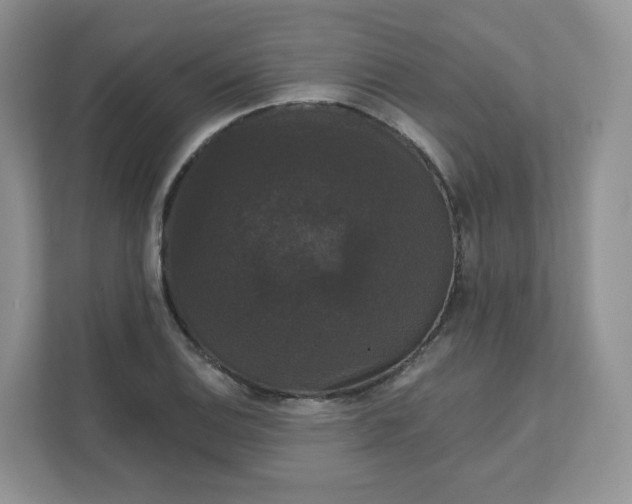 X0000111591124200907301420