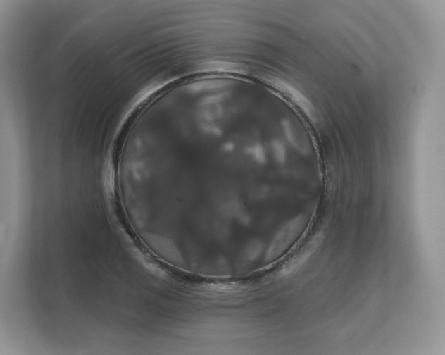 X0000111591125200907301421