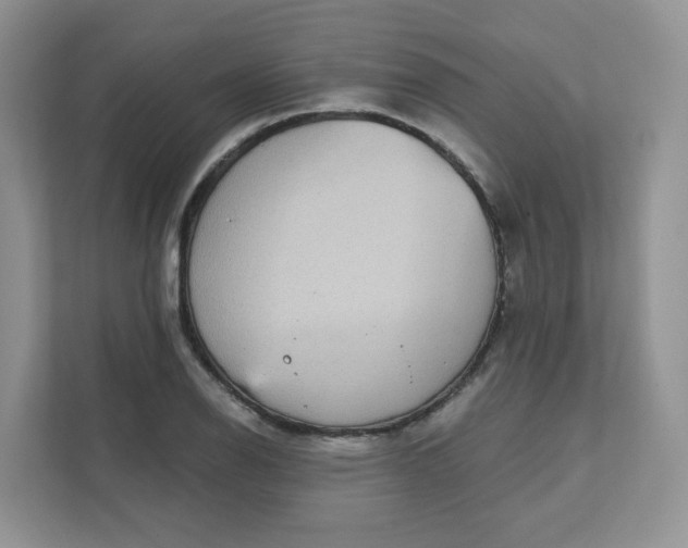 X0000111591126200907301421