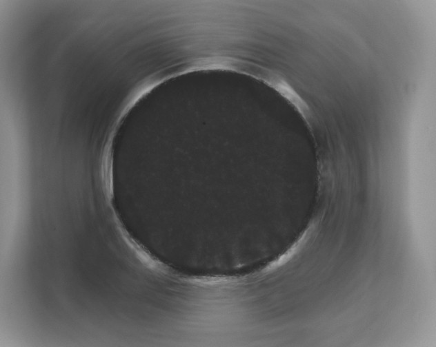 X0000111591127200907301421