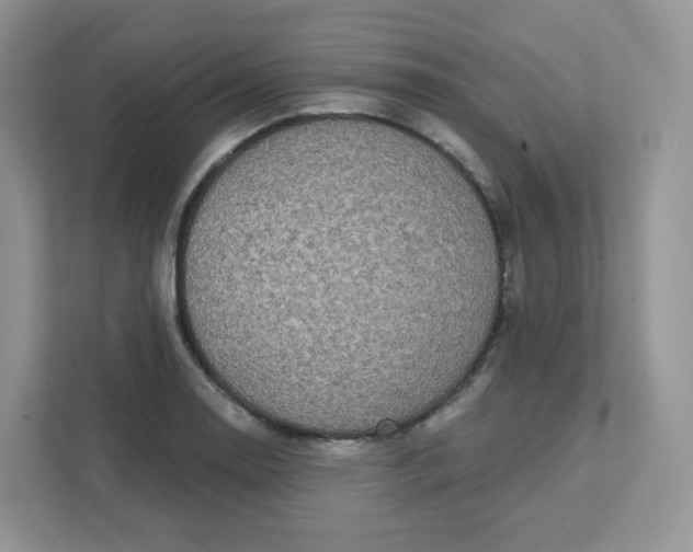 X0000111591130200907301421