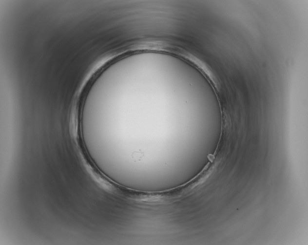 X0000111591131200907301421