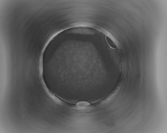 X0000111591132200907301421