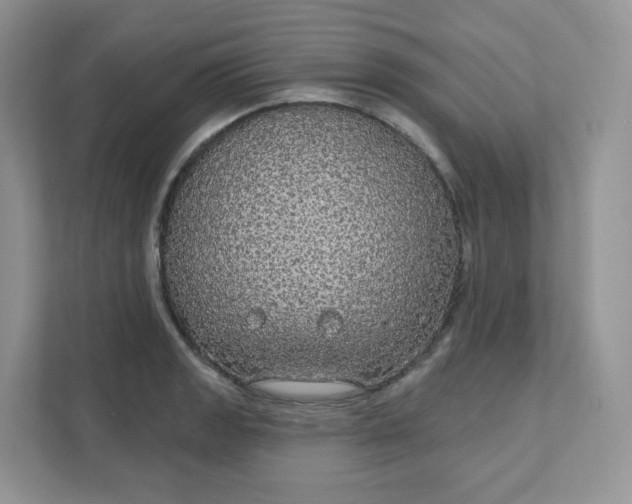 X0000111591133200907301421