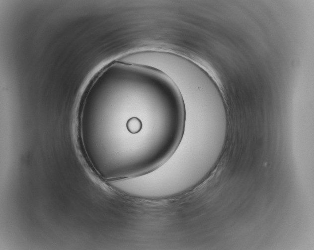 X0000111591136200907301421