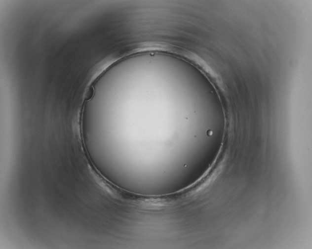 X0000111591137200907301421