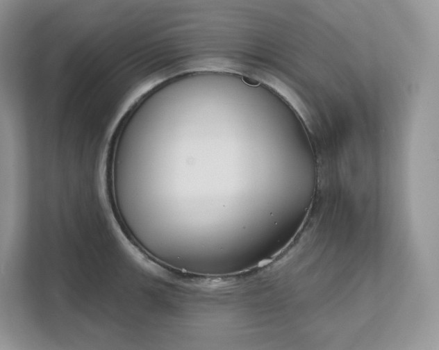 X0000111591139200907301421