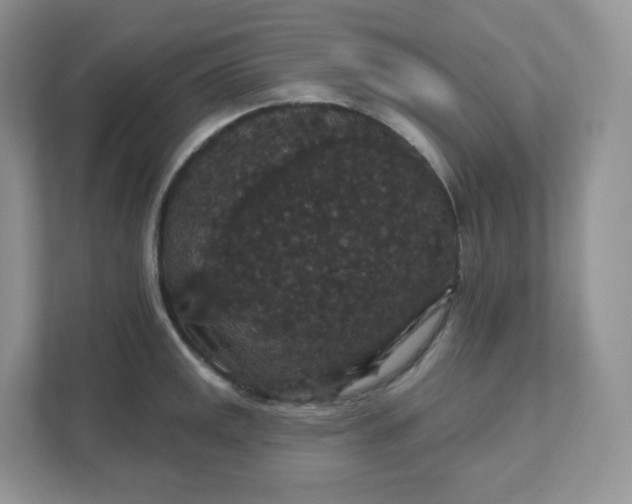 X0000111591141200907301421