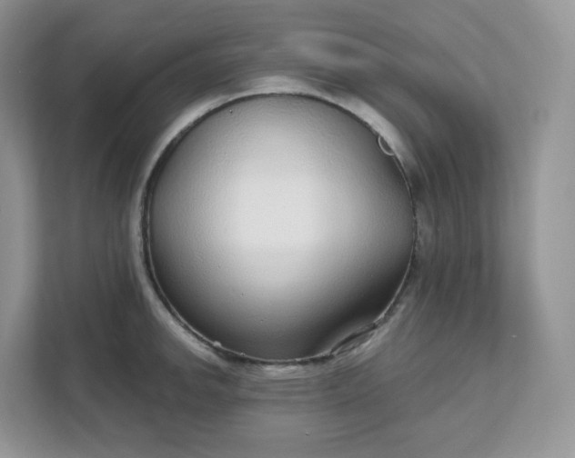 X0000111591142200907301421