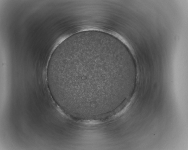 X0000111591145200907301421