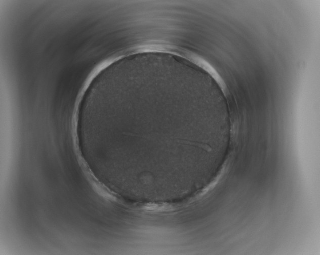 X0000111591146200907301421