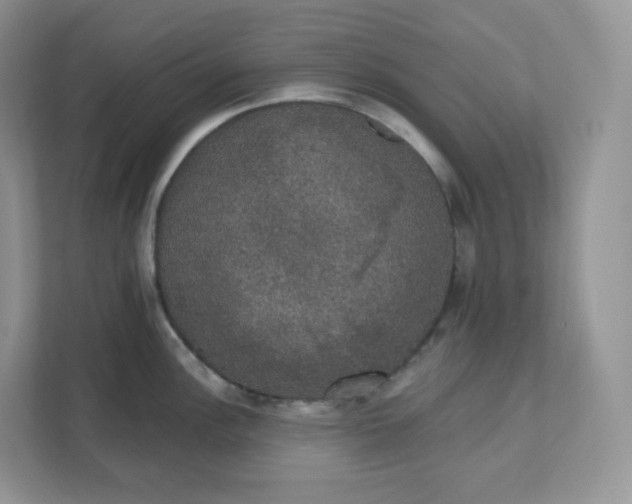 X0000111591148200907301421