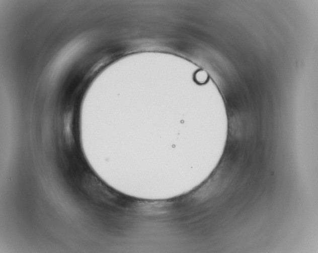 X0000111591150200907301421