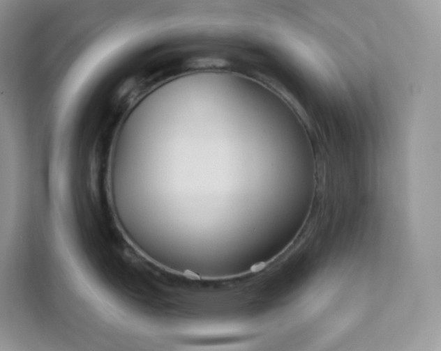 X0000111591151200907301421