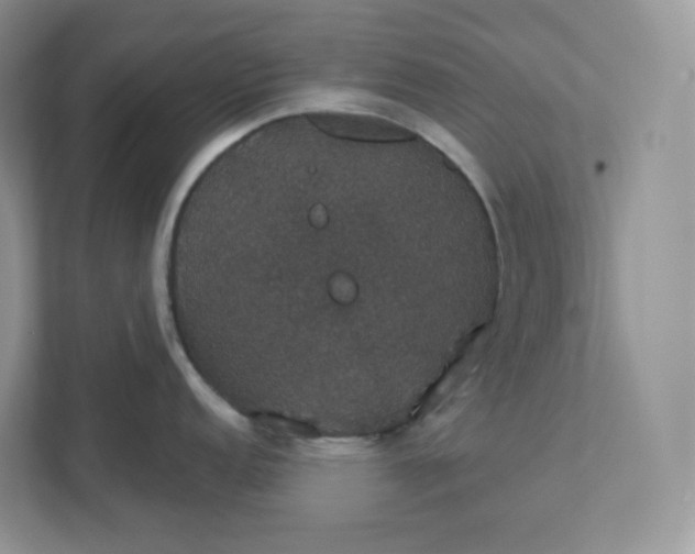 X0000111591152200907301421