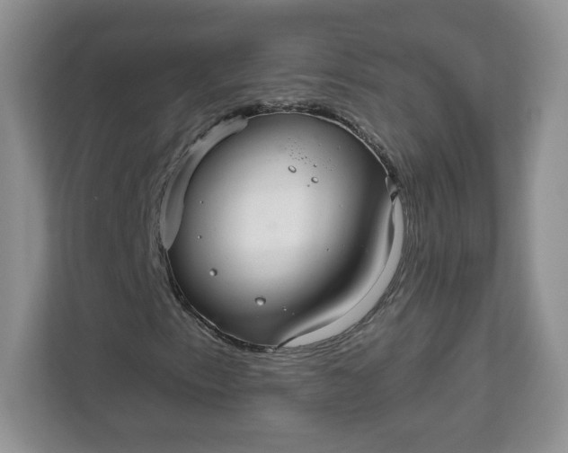 X0000111591153200907301420