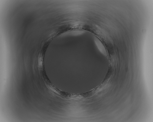 X0000111591154200907301420