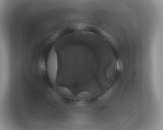 X0000111591155200907301420