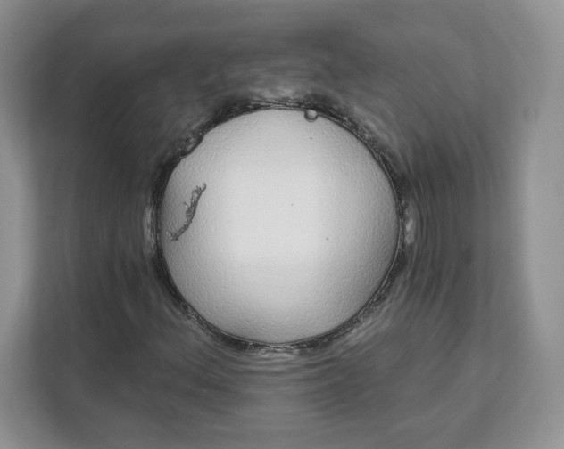 X0000111591156200907301420