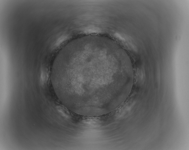 X0000111591157200907301420