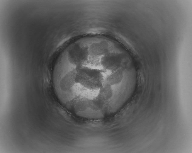 X0000111591158200907301420