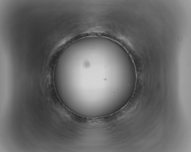 X0000111591159200907301420