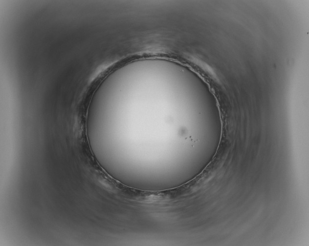 X0000111591160200907301420