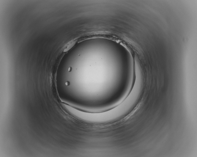 X0000111591161200907301420