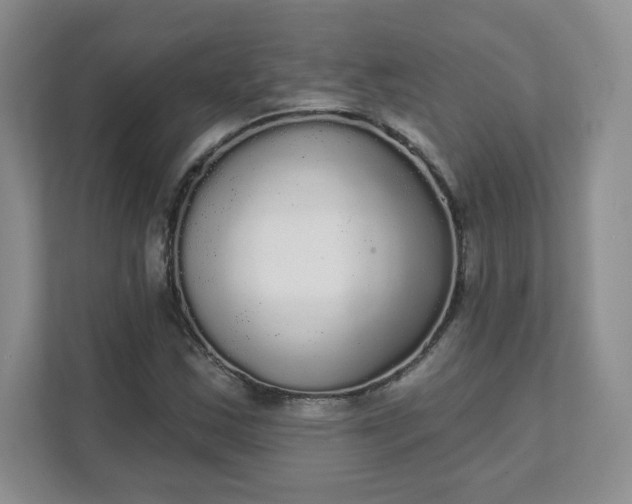 X0000111591163200907301420