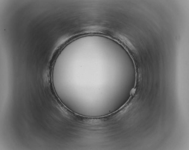 X0000111591164200907301420