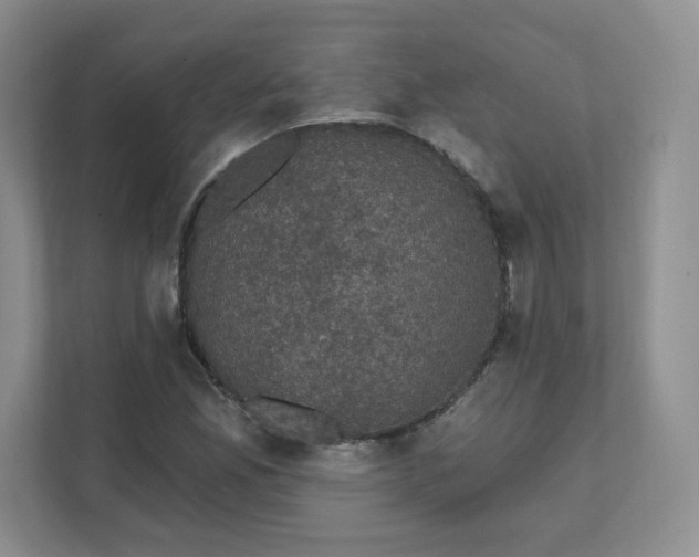 X0000111591165200907301420