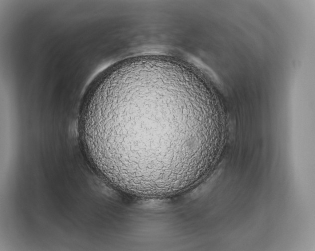 X0000111591166200907301420