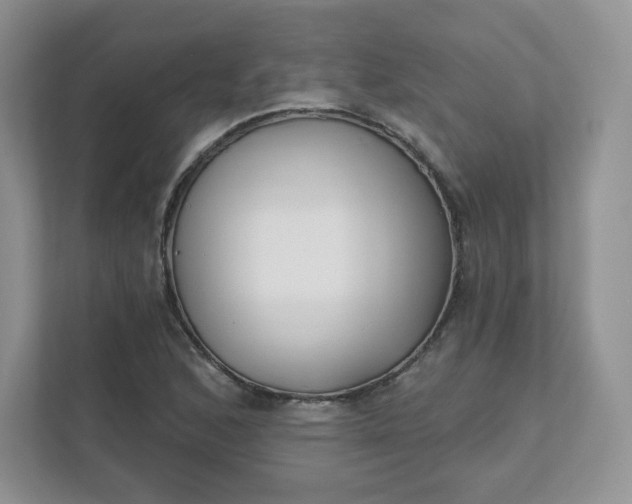 X0000111591168200907301420