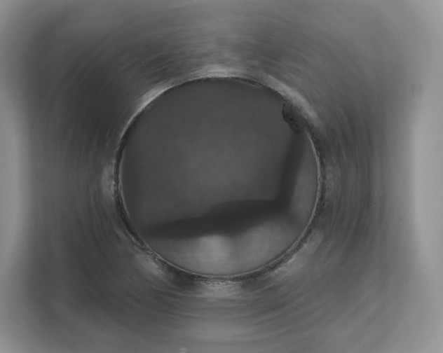 X0000111591170200907301420