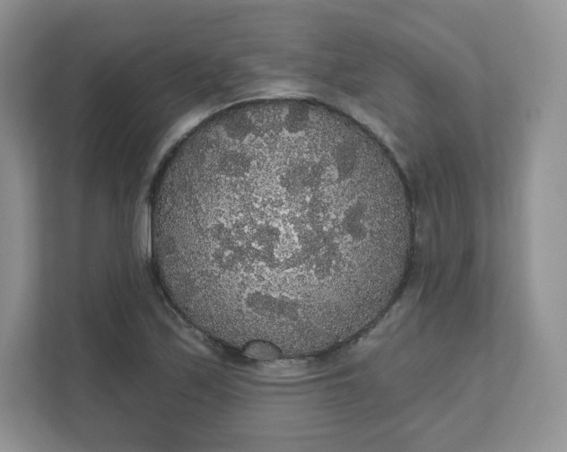 X0000111591171200907301420