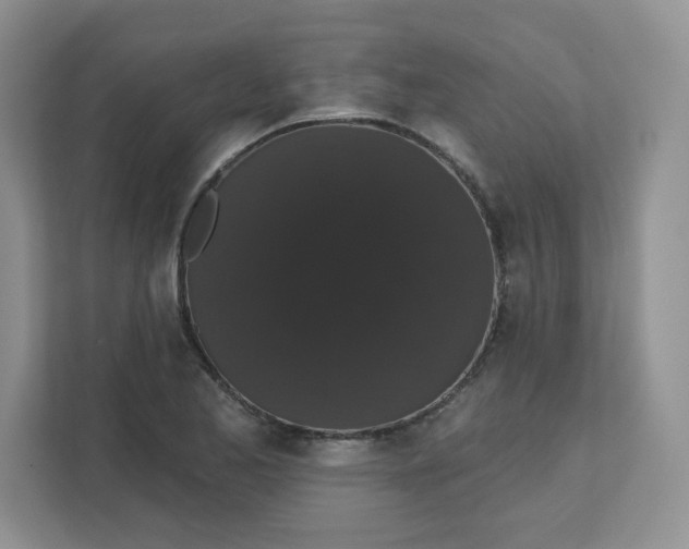 X0000111591173200907301420