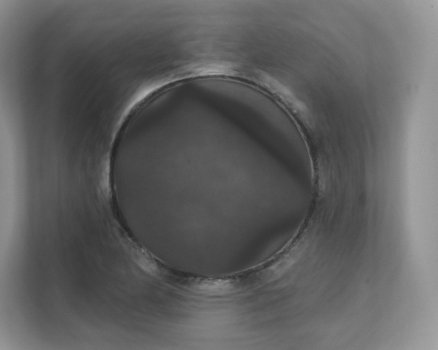 X0000111591174200907301420