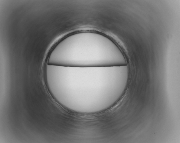 X0000111591175200907301420