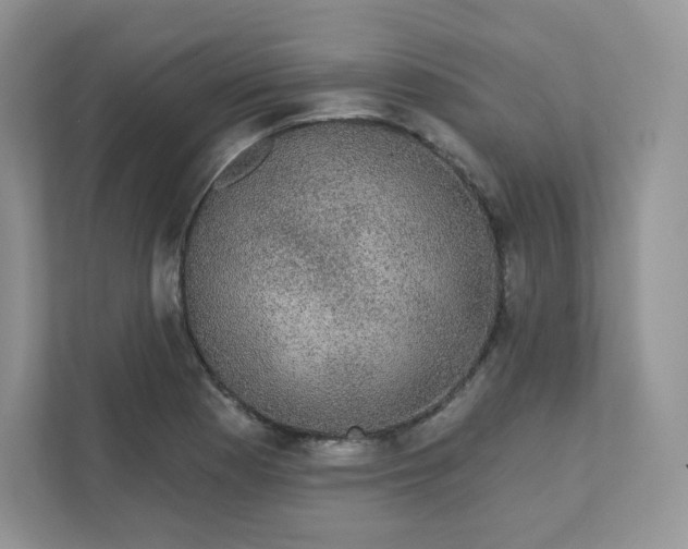 X0000111591177200907301420