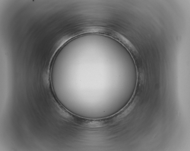 X0000111591178200907301420